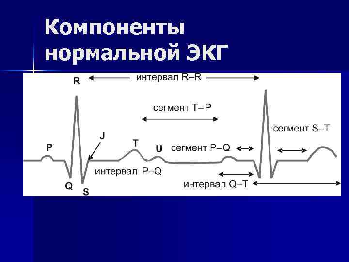 Функция экг. Компоненты нормальной ЭКГ. ЭКГ функции. Компоненты нормальной электрокардиограммы. Функции электрокардиографа.