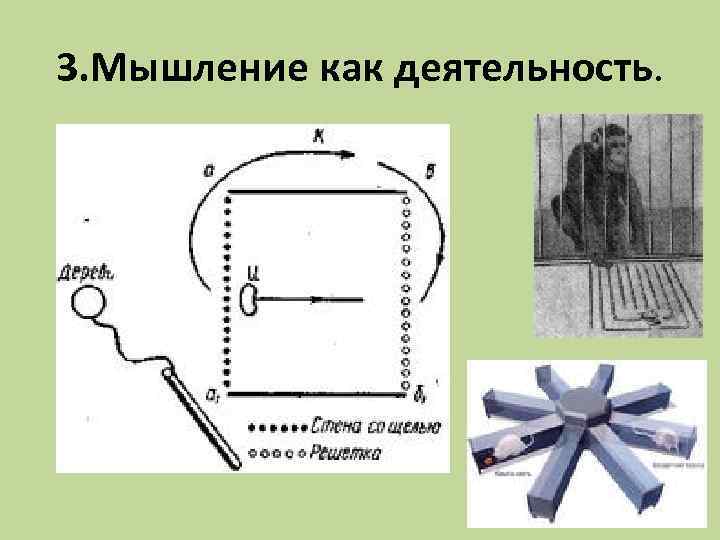 3. Мышление как деятельность. 