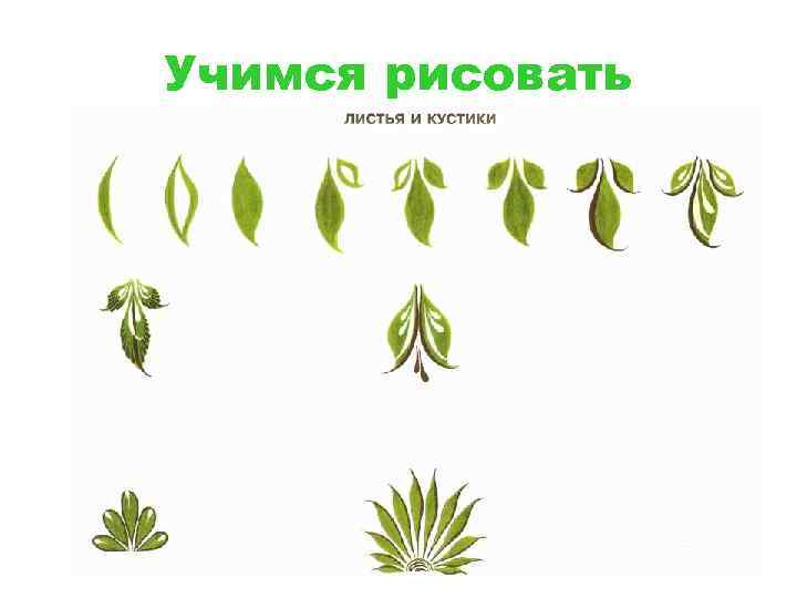 Учимся рисовать 