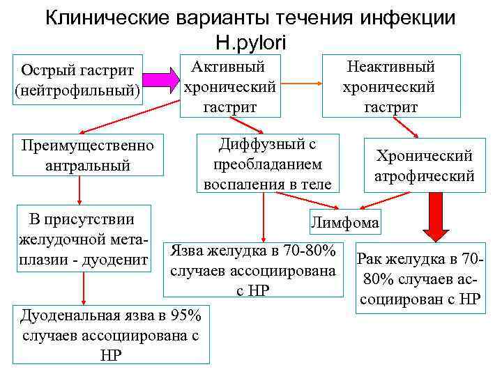 Клинические варианты течения инфекции H. pylori Острый гастрит (нейтрофильный) Преимущественно антральный В присутствии желудочной