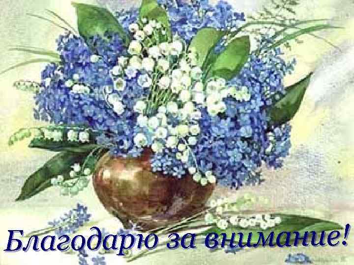 Благодарю за внимание! 