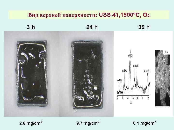 Вид верхней поверхности: USS 41, 1500°C, O 2 3 h 2, 8 mg/cm 2