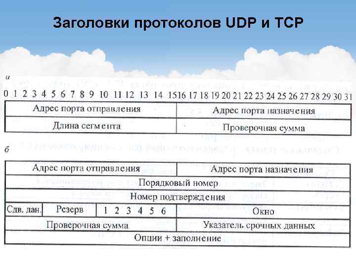 Заголовки протоколов UDP и TCP 