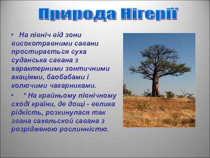  • На північ від зони високотравними савани простирається суха суданська савана з характерними