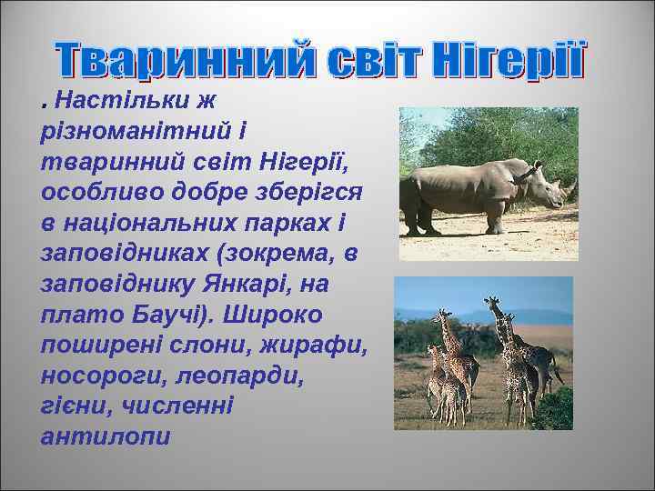 . Настільки ж різноманітний і тваринний світ Нігерії, особливо добре зберігся в національних парках