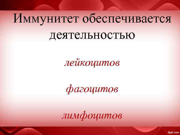 Иммунитет обеспечивается деятельностью лейкоцитов фагоцитов лимфоцитов 