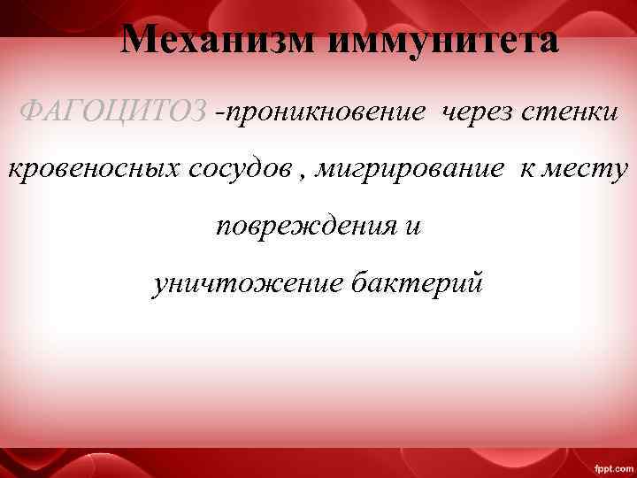 Механизм иммунитета ФАГОЦИТОЗ -проникновение через стенки кровеносных сосудов , мигрирование к месту повреждения и