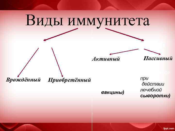 Виды иммунитета Естественный Искусственный Активный Врождённый Приобретённый (появляется после введения вакцины) Пассивный (появляется при
