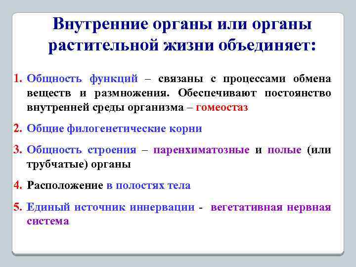 Внутренние органы или органы растительной жизни объединяет: 1. Общность функций – связаны с процессами