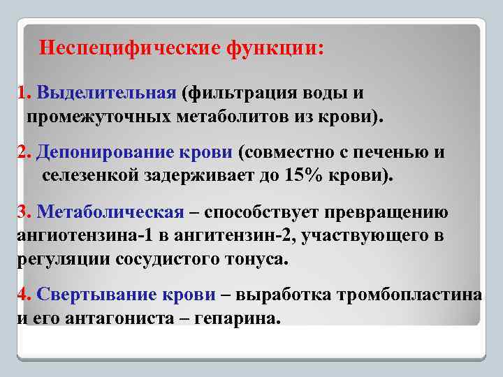 Неспецифические функции: 1. Выделительная (фильтрация воды и промежуточных метаболитов из крови). 2. Депонирование крови