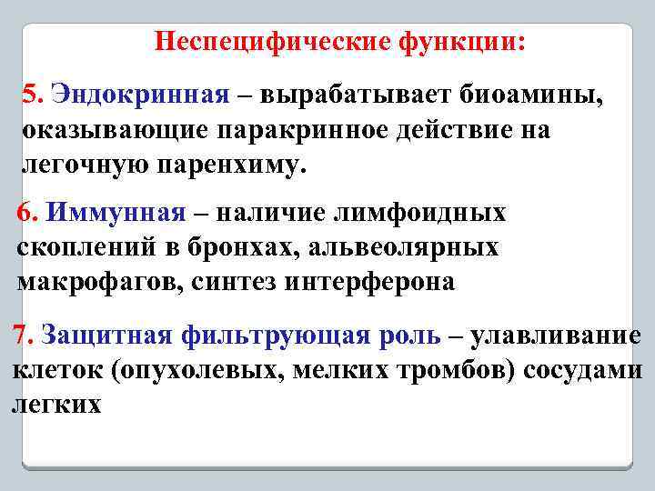 Неспецифические функции: 5. Эндокринная – вырабатывает биоамины, оказывающие паракринное действие на легочную паренхиму. 6.