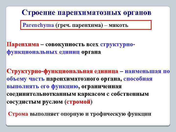 Строение паренхиматозных органов Parenchyma (греч. паренхима) – мякоть Паренхима – совокупность всех структурнофункциональных единиц