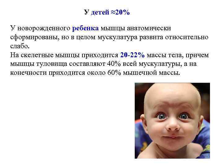 У детей ≈20% У новорожденного ребенка мышцы анатомически сформированы, но в целом мускулатура развита