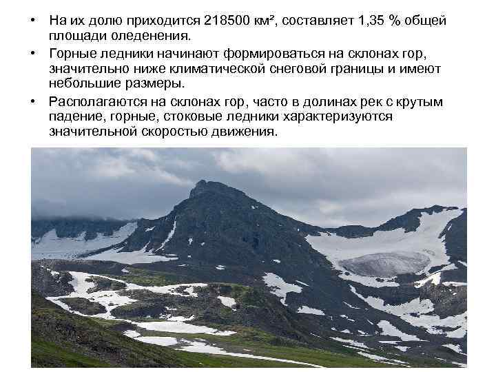  • На их долю приходится 218500 км², составляет 1, 35 % общей площади
