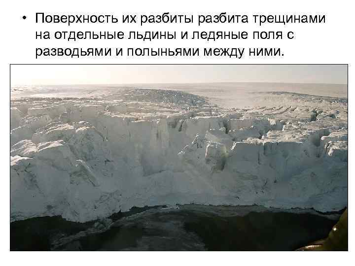  • Поверхность их разбиты разбита трещинами на отдельные льдины и ледяные поля с