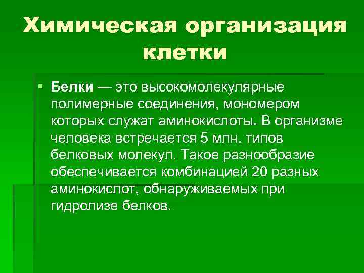 Химическая организация клетки § Белки — это высокомолекулярные полимерные соединения, мономером которых служат аминокислоты.