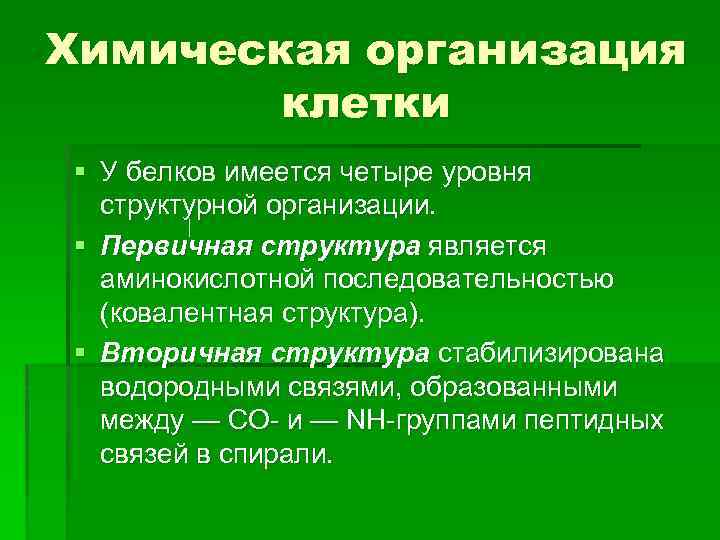 Химическая организация клетки § У белков имеется четыре уровня структурной организации. § Первичная структура