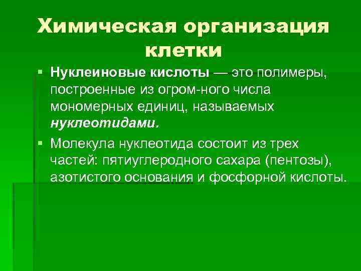 Химическая организация клетки § Нуклеиновые кислоты — это полимеры, построенные из огром ного числа