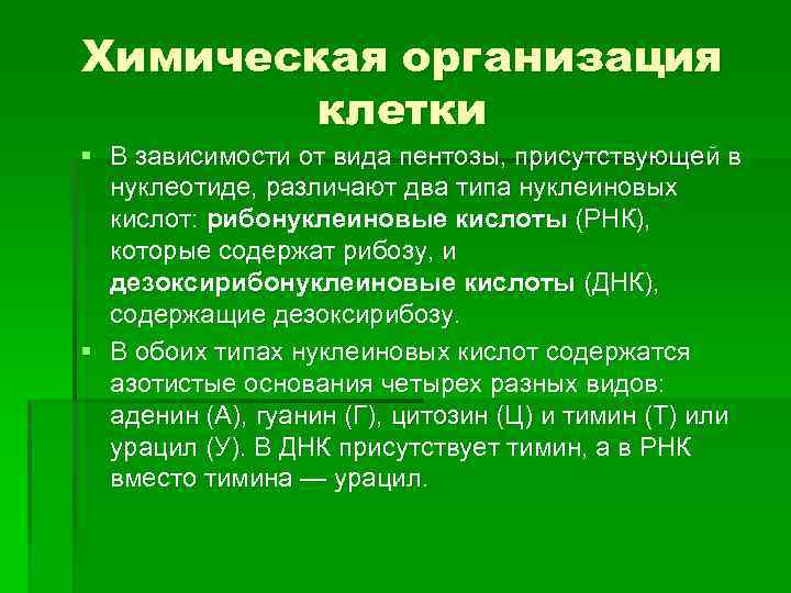 Химическая организация клетки § В зависимости от вида пентозы, присутствующей в нуклеотиде, различают два