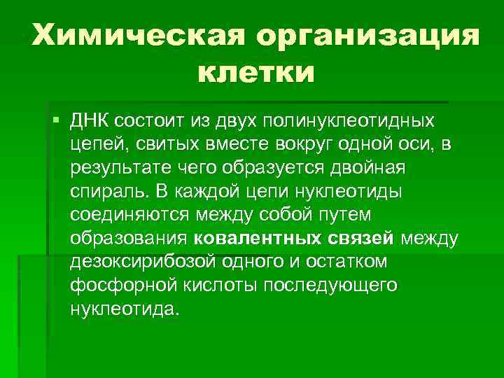 Химическая организация клетки § ДНК состоит из двух полинуклеотидных цепей, свитых вместе вокруг одной