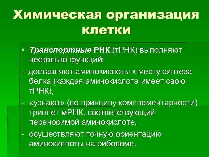 Химическая организация клетки § Транспортные РНК (т. РНК) выполняют несколько функций: доставляют аминокислоты к