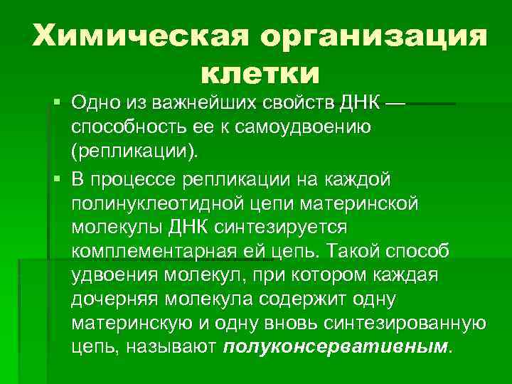 Химическая организация клетки § Одно из важнейших свойств ДНК — способность ее к самоудвоению