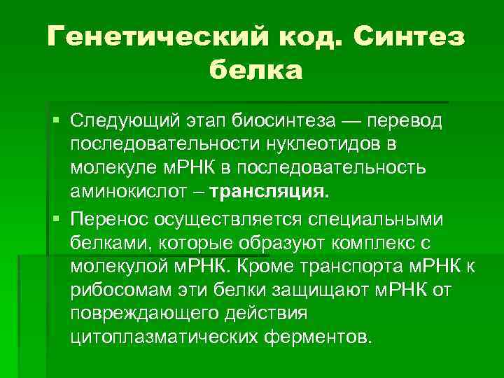 Генетический код. Синтез белка § Следующий этап биосинтеза — перевод последовательности нуклеотидов в молекуле