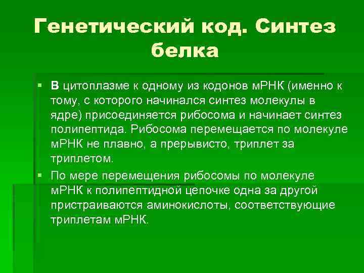 Генетический код. Синтез белка § В цитоплазме к одному из кодонов м. РНК (именно