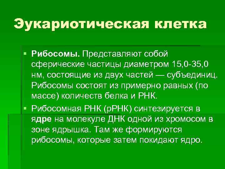 Эукариотическая клетка § Рибосомы. Представляют собой сферические частицы диаметром 15, 0 -35, 0 нм,