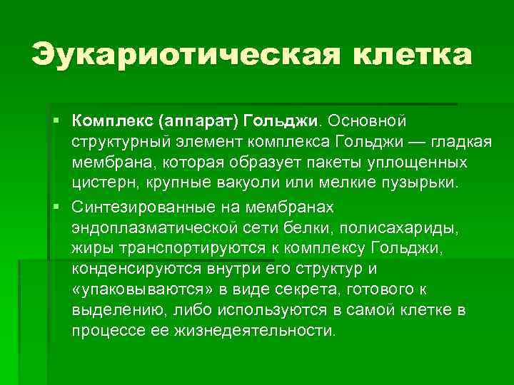 Эукариотическая клетка § Комплекс (аппарат) Гольджи. Основной структурный элемент комплекса Гольджи — гладкая мембрана,