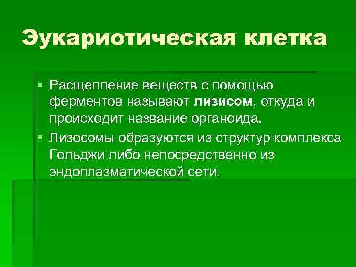 Эукариотическая клетка § Расщепление веществ с помощью ферментов называют лизисом, откуда и происходит название