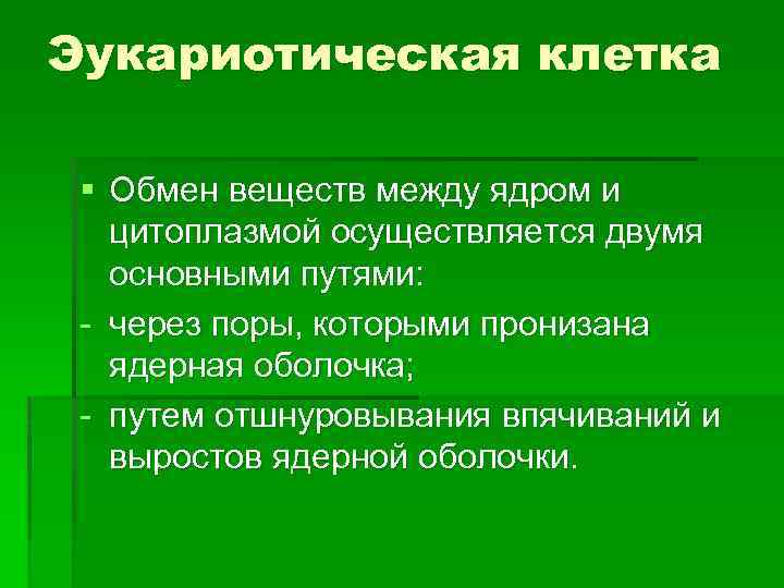 Эукариоты метаболизм. Обмен веществ между ядром и цитоплазмой осуществляется. Как осуществляется обмен веществ между ядром и цитоплазмой. Возможные пути обмена веществами между ядром и цитоплазмой. Функции клеточного метаболизма.