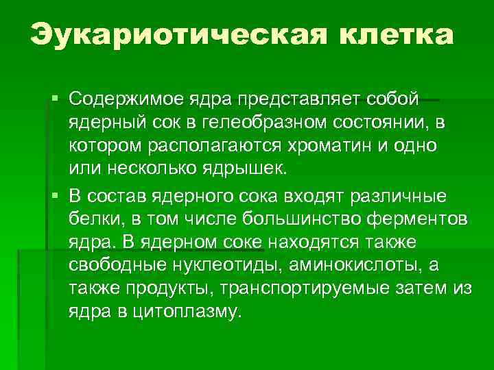 Эукариотическая клетка § Содержимое ядра представляет собой ядерный сок в гелеобразном состоянии, в котором