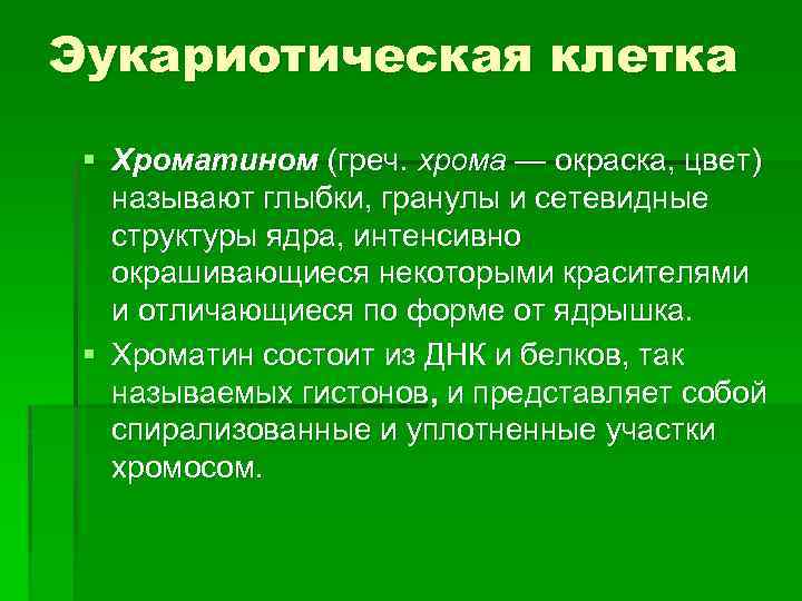 Эукариотическая клетка § Хроматином (греч. хрома — окраска, цвет) называют глыбки, гранулы и сетевидные