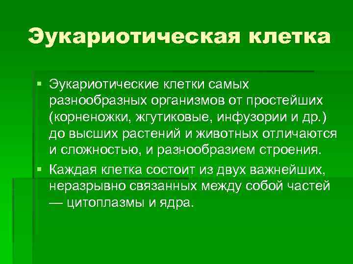 Эукариотическая клетка § Эукариотические клетки самых разнообразных организмов от простейших (корненожки, жгутиковые, инфузории и