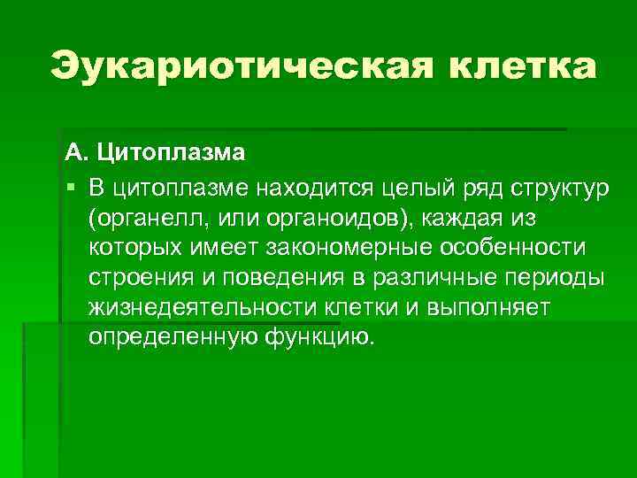 Эукариотическая клетка А. Цитоплазма § В цитоплазме находится целый ряд структур (органелл, или органоидов),