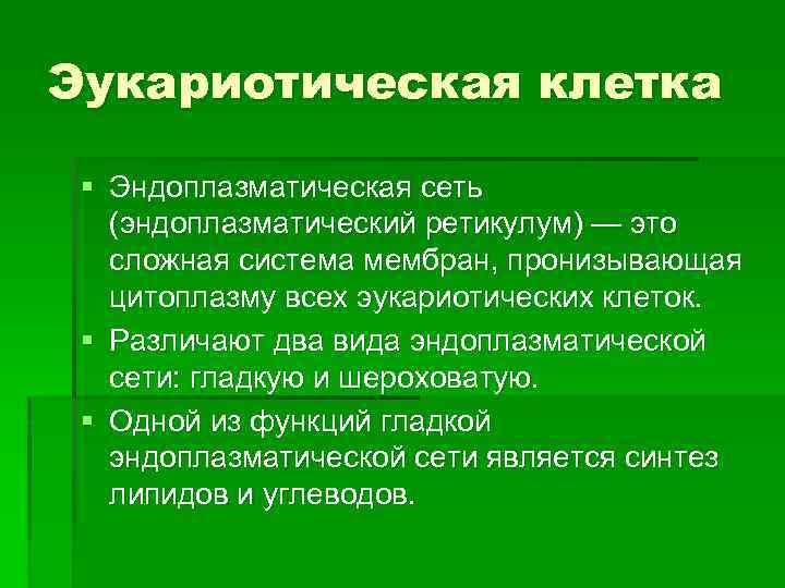 Эукариотическая клетка § Эндоплазматическая сеть (эндоплазматический ретикулум) — это сложная система мембран, пронизывающая цитоплазму