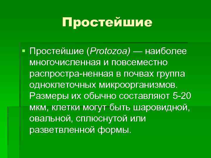 Простейшие § Простейшие (Protozoa) — наиболее многочисленная и повсеместно распростра ненная в почвах группа