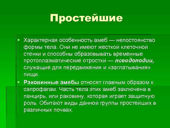 Простейшие § Характерная особенность амеб — непостоянство формы тела. Они не имеют жесткой клеточной