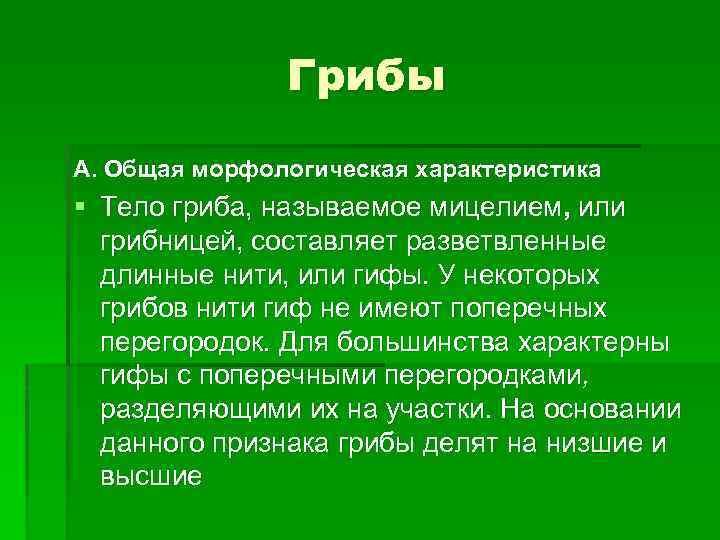 Грибы А. Общая морфологическая характеристика § Тело гриба, называемое мицелием, или грибницей, составляет разветвленные
