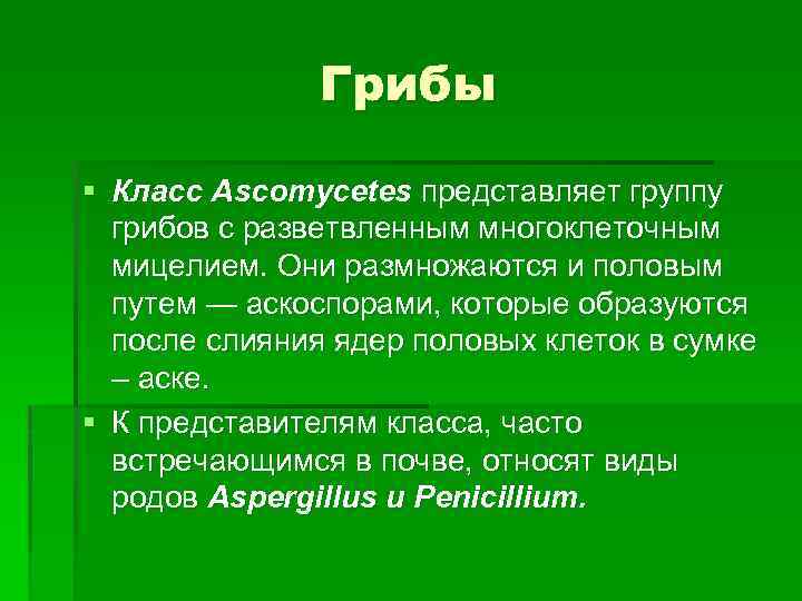 Грибы § Класс Ascomycetes представляет группу грибов с разветвленным многоклеточным мицелием. Они размножаются и