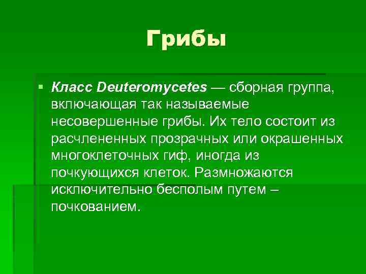 Грибы § Класс Deuteromycetes — сборная группа, включающая так называемые несовершенные грибы. Их тело