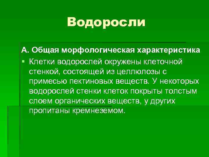 Водоросли А. Общая морфологическая характеристика § Клетки водорослей окружены клеточной стенкой, состоящей из целлюлозы