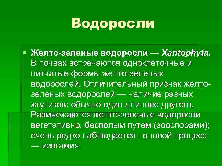 Водоросли § Желто-зеленые водоросли — Хапtophyta. В почвах встречаются одноклеточные и нитчатые формы желто