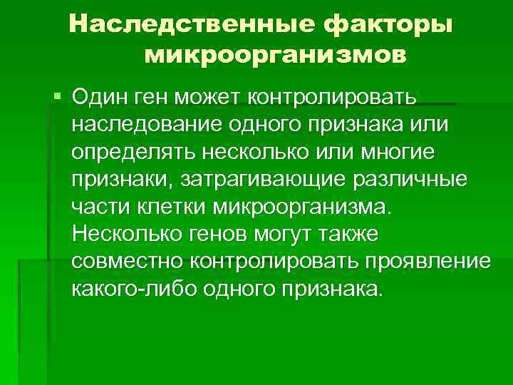 Наследственные факторы микроорганизмов § Один ген может контролировать наследование одного признака или определять несколько