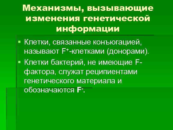 Механизмы, вызывающие изменения генетической информации § Клетки, связанные конъюгацией, называют F+ клетками (донорами). §