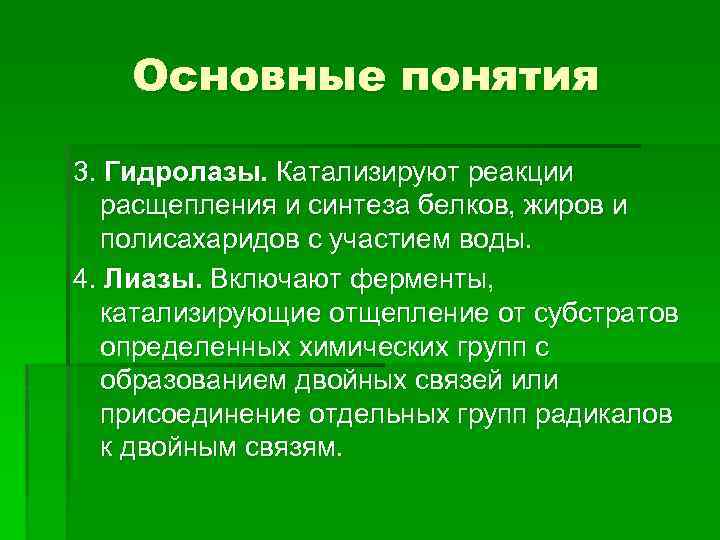Основные понятия 3. Гидролазы. Катализируют реакции расщепления и синтеза белков, жиров и полисахаридов с