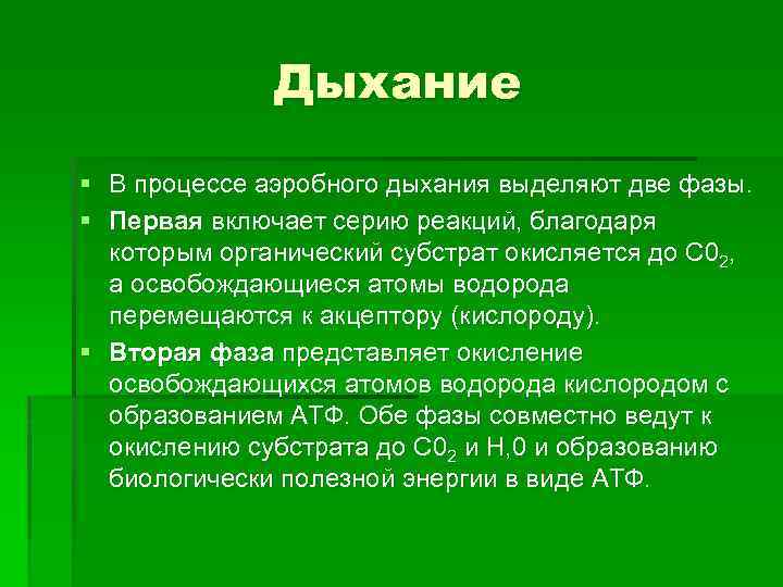 Дыхание § В процессе аэробного дыхания выделяют две фазы. § Первая включает серию реакций,