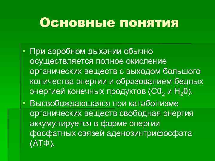 Основные понятия § При аэробном дыхании обычно осуществляется полное окисление органических веществ с выходом