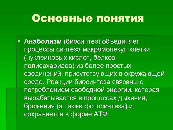 Основные понятия § Анаболизм (биосинтез) объединяет процессы синтеза макромолекул клетки (нуклеиновых кислот, белков, полисахаридов)